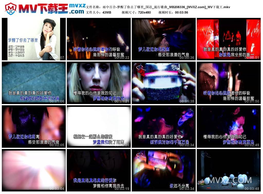 雨中百合-梦醒了你去了哪里_国语_流行歌曲_MB208336